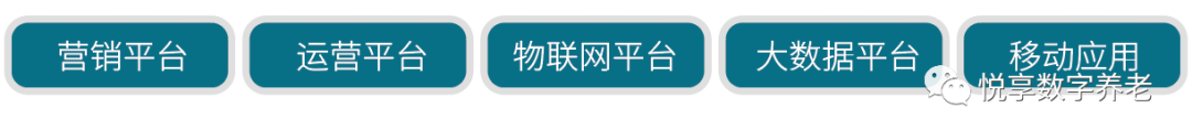 悦享数字 | 数字驱动健康 智慧赋能养老(图3)